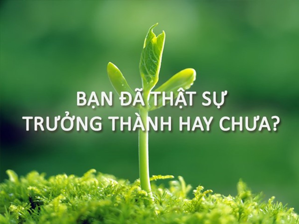 NHỮNG ĐIỀU GIÚP MÌNH TRƯỞNG THÀNH HƠN TRONG CUỘC SỐNG NHỮNG ĐIỀU GIÚP MÌNH TRƯỞNG THÀNH HƠN TRONG CUỘC SỐNG